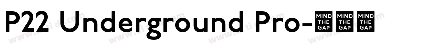 P22 Underground Pro字体转换 P22 Underground Pro字体转换